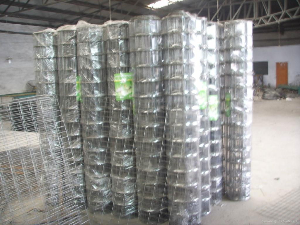 galvanized welded wire mesh 5