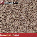 Newstar china artificial quartz stone 1