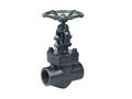 Forged Steel Gate Valve