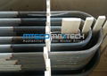 ASTM A213 Heat Exchanger Tube Pickling And Annealing Surface 300 Series 12192mm 2
