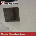 Newstar prefab quartz countertops with kitchen sink 2