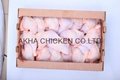Halal Frozen Chicken pieces (Whole,