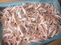 HALAL GRADE A FROZEN WHOLE CHICKEN AND FROZEN CHICKEN FEET FOR SALE  2