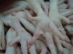 High Quality A-Grade Frozen Chicken Feet