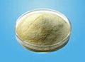 sodium alginate 3