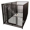 Pet cage manufacturers custom supply pet cage, export pet cage 4