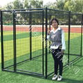 Pet cage manufacturers custom supply pet cage, export pet cage 5