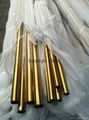 Stainless Steel Box Sections Tube With Golden Finish 3