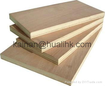 Cheap and Good Quality Plywood  3