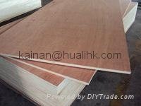 We Provide Quality PVC/ABS/Melamine Edge Badning, Plywood,Cabinet Skirting,Decorative Paper,Profile,flooring skirting