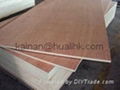 E1 Commercial Plywood