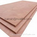 E1 Commercial Plywood 2