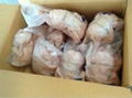 HALAL FROZEN WHOLE  CHICKEN GRILLER 1