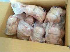 HALAL FROZEN WHOLE  CHICKEN GRILLER