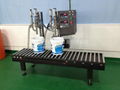 Double Nozzles Washing Liquid Weighing Filling Machine