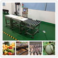 Fruit Jelly Online Weight Checking and Sorting Machine