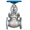 API Globe Valve