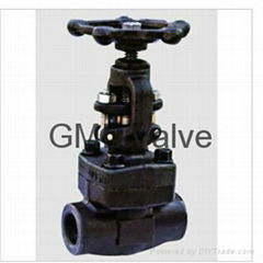 female thread and socket welded gate valve