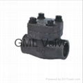 female thread and socket welded check valve 1