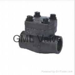 female thread and socket welded check valve