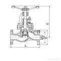 DIN globe valve 4