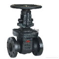 10k/20k gate valve 2