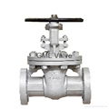 10k/20k gate valve 1