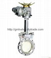 knife gate valve 1