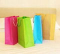 Shopping Bag