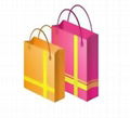 Shopping Bag 3