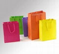 Shopping Bag 5