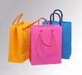 Shopping Bag 4