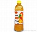Fruit Juice  4