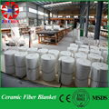 Ceramic wool insulation Blanket 4