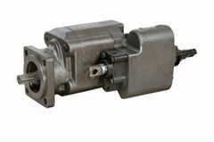 C101 102  dump pump