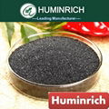 Potassium Humate Shiny Powder 2