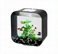 acrylic fish tank 3