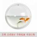 acrylic fish tank 1