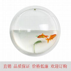 acrylic fish tank