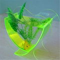 acrylic fish tank 3