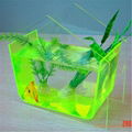 acrylic fish tank 5