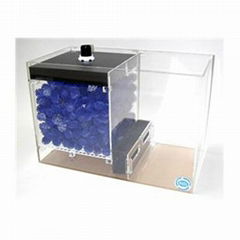 acrylic fish tank