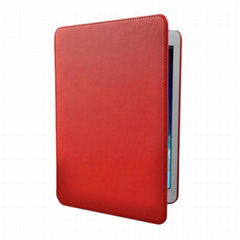 270 - Protective Case for iPad Air