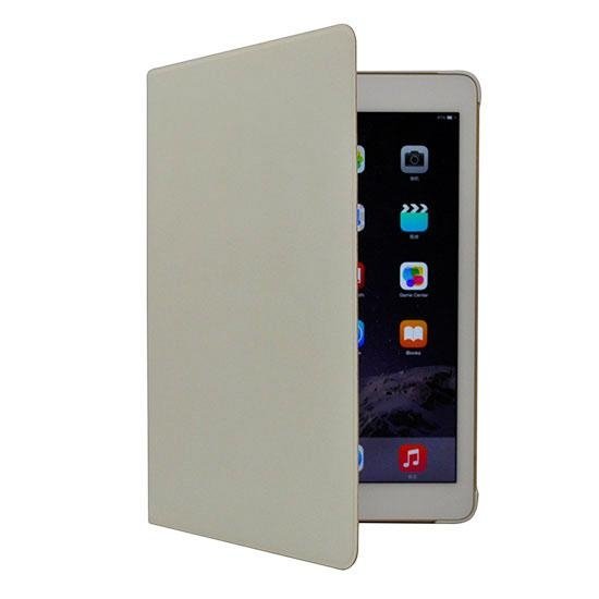 326 - Protective Case for iPad Air2