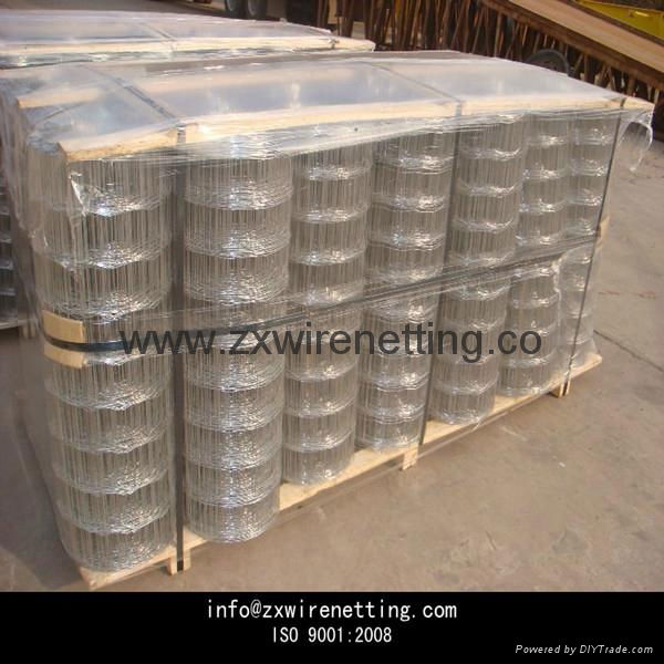 pvc coated wire mesh fence 5