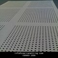 perforated metal sheet decorative (factory manufacture,ISO9001) 4