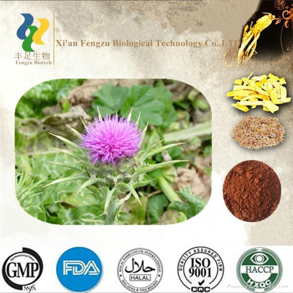 Pure natural sex product Tribulus Terrestris Extract powder on sale 3