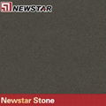 Newstar grey dot quartz tile