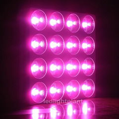 New design high lumens hydroponic16x100W COB LED plant grow light