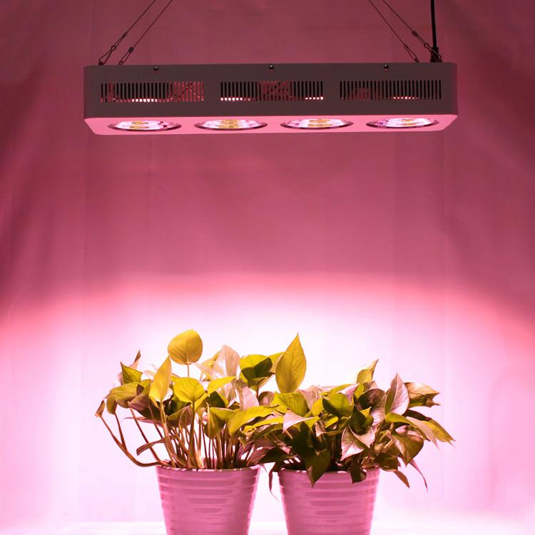 Full Spectrum 4x200W COB led grow light 12v dc good for medical plant, hydroponi